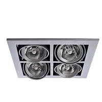 Карданный светильник Arte Lamp CARDANI MEDIO A5930PL-4SI