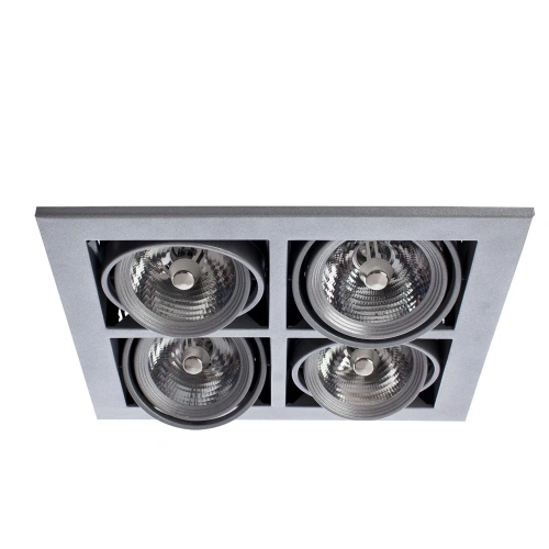 Карданный светильник Arte Lamp CARDANI MEDIO A5930PL-4SI