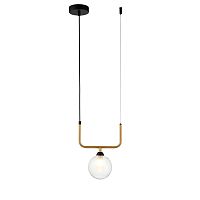 Подвесной светильник 11021/1P Clear