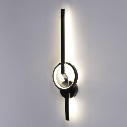 Настенный светодиодный светильник Reluce 77040-0.2-600