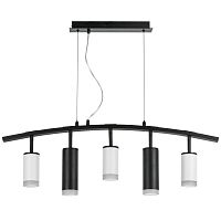 Комплект с подвесной люстрой Lightstar Rullo (571735+214436-3+214487-2+202430-5) LR7353638720