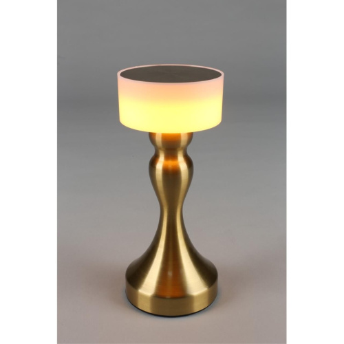 Настольная лампа OML-40304-01 фото 2