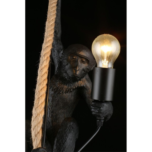 Светильник подвесной APL.309.16.01 фото 14 Светильник подвесной APL.309.16.01 фото 14