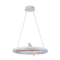 Подвесной светодиодный светильник F-Promo Bardy 4653-1P