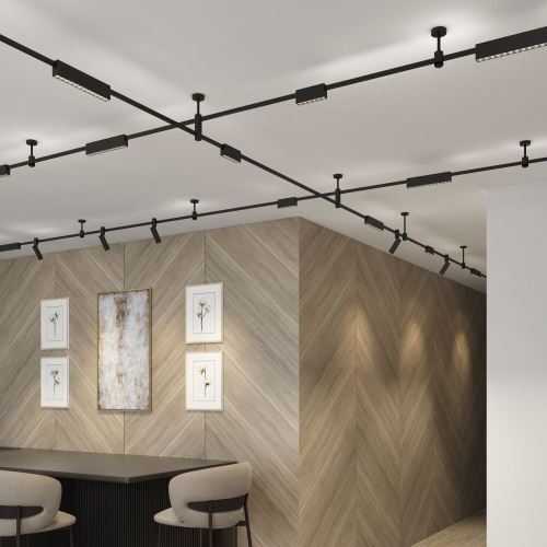 Esthetic Magnetic Трековый светильник 6W 3000K (чёрный) 85120/01 фото 2