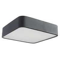 Потолочный светильник Arte Lamp COSMOPOLITAN A7210PL-2BK