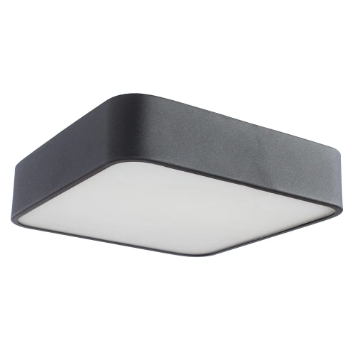Потолочный светильник Arte Lamp COSMOPOLITAN A7210PL-2BK Потолочный светильник Arte Lamp COSMOPOLITAN A7210PL-2BK