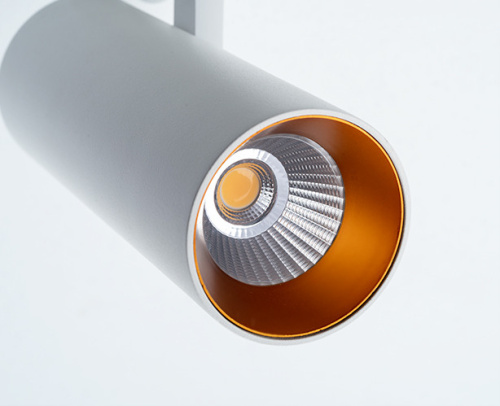 Ring for 10W gold кольцо для светильника фото 5 Ring for 10W gold кольцо для светильника фото 5