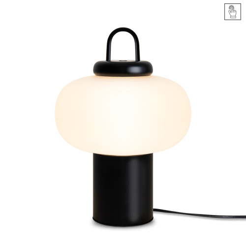 Настольная лампа Freya Take FR6175TL-L10B фото 9 Настольная лампа Freya Take FR6175TL-L10B фото 9