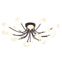 Потолочная люстра Arte Lamp Guimet A7423PL-20BK