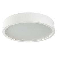 Настенный потолочный светильник Kanlux JASMIN 470-W/M 23128