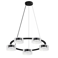 Подвесная люстра Arte Lamp ALIUS A8042SP-5BK