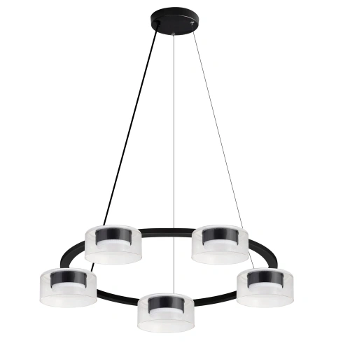 Подвесная люстра Arte Lamp ALIUS A8042SP-5BK Подвесная люстра Arte Lamp ALIUS A8042SP-5BK