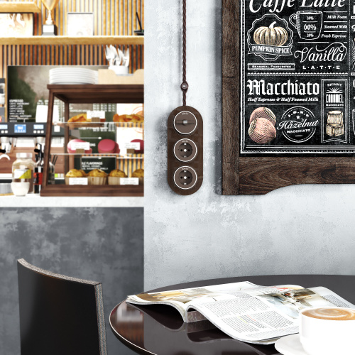 Выключатель на 4 положения двухклавишный Vintage мокко матовый/хром W5822052 фото 6 Выключатель на 4 положения двухклавишный Vintage мокко матовый/хром W5822052 фото 6