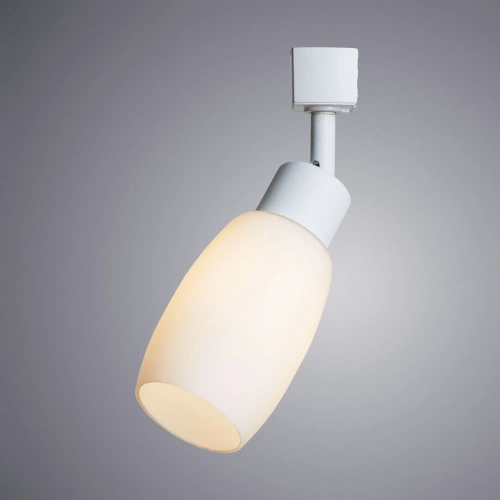 Трековый светильник Arte Lamp MIIA A3055PL-1WH фото 2