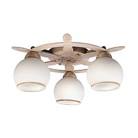 Люстра потолочная OML-50517-03