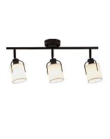 Спот Moderli V11848-3C Inari