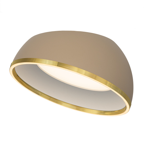 Citilux FLOOM CL736152 Светильник потолочный с пультом Бежевый+Золото фото 2 Citilux FLOOM CL736152 Светильник потолочный с пультом Бежевый+Золото фото 2