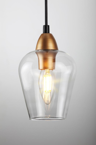 Подвесной светильник Rivoli Fresco 5045-201 Б0044370 фото 5