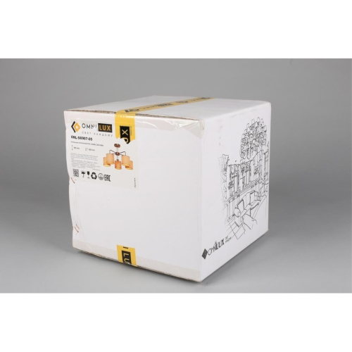 Люстра потолочная OML-56907-05 фото 10 Люстра потолочная OML-56907-05 фото 10