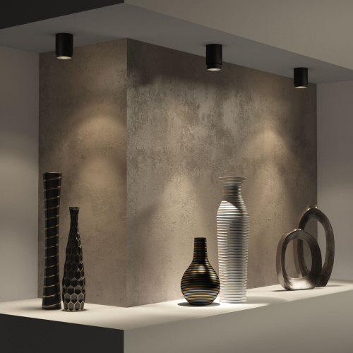 Потолочный светодиодный светильник Cors 25032/LED 10W 4200K чёрный фото 4