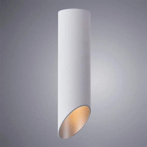 Точечный накладной светильник Arte Lamp PILON-SILVER A1535PL-1WH фото 2 Точечный накладной светильник Arte Lamp PILON-SILVER A1535PL-1WH фото 2