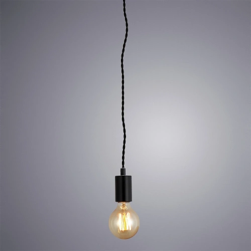 Подвесной светильник Arte Lamp FUORI A9184SP-1BK фото 2