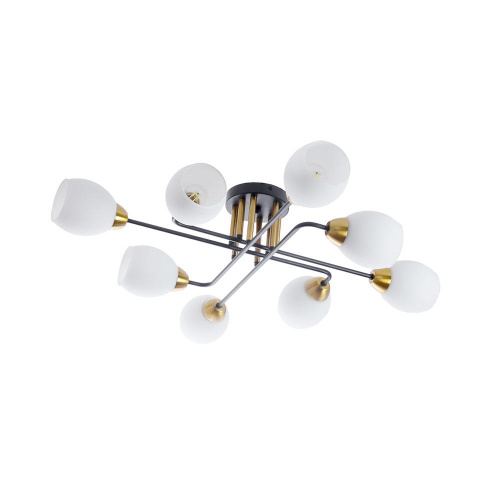 Потолочная люстра Arte Lamp ANDREA A8141PL-8BK Потолочная люстра Arte Lamp ANDREA A8141PL-8BK