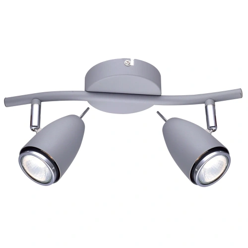 Спот Arte Lamp REGISTA A1966AP-2GY Спот Arte Lamp REGISTA A1966AP-2GY