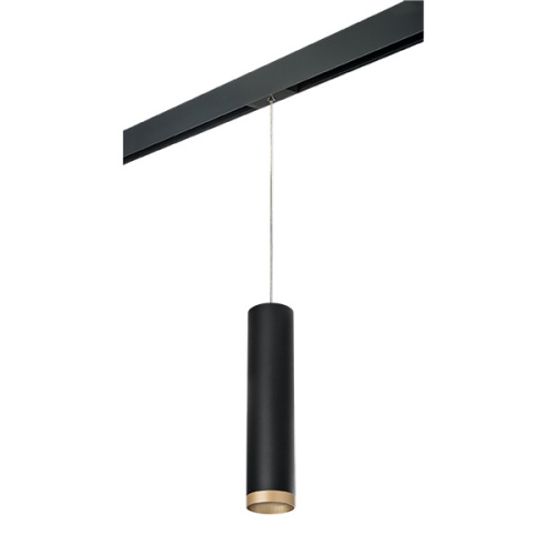PRORP49740 Светильник д/1-фазн трека RULLO HP16 (214497+595857+203440) PRORP49740 Светильник д/1-фазн трека RULLO HP16 (214497+595857+203440)