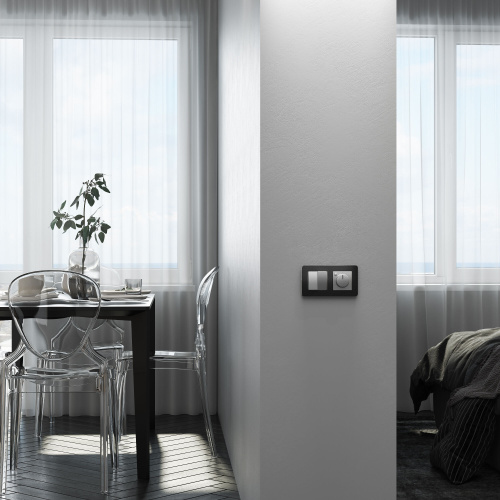 Перекрестный переключатель двухклавишный серебряный W1123008 фото 2