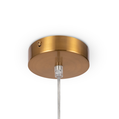 Подвесной светильник Freya FR5220PL-01G5 фото 2