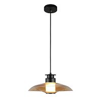 Светильник подвесной APL.648.16.10