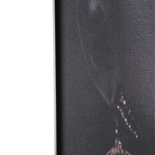 Декоративная картина FP African Gold 80-120 фото 5