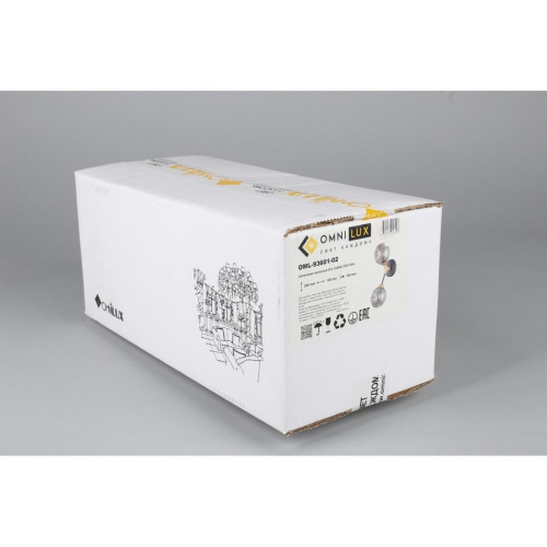 Светильник настенный (Бра) OML-93601-02 фото 2 Светильник настенный (Бра) OML-93601-02 фото 2