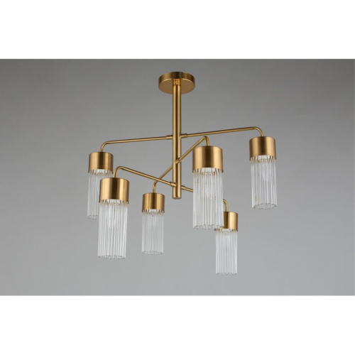 Люстра потолочная OML-67107-06 фото 7 Люстра потолочная OML-67107-06 фото 7