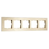 Рамка из металла на 5 постов AluMax шампань алюминий W0053511