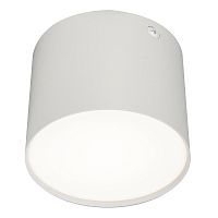 Потолочный светильник Escada 20004SMU/01 LED 9W 4200K белый матовый