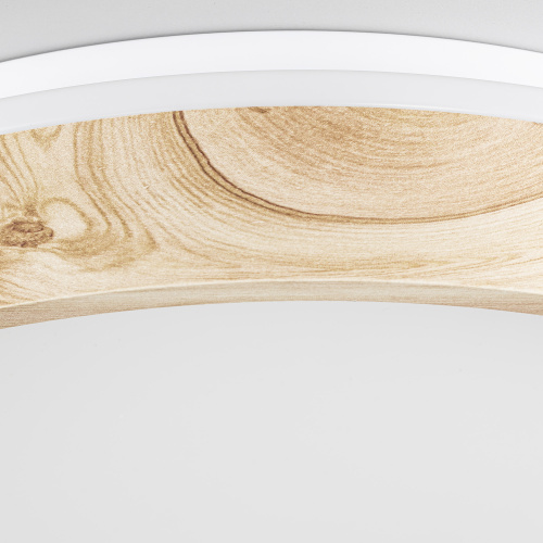 Citilux ENZO CL753352G LED RGB Светильник с пультом Клён фото 10 Citilux ENZO CL753352G LED RGB Светильник с пультом Клён фото 10