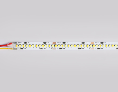 Светодиодная лента 24В 2835 240Led 18Вт/м CCT 3000K-6500K IP20 5м фото 8 Светодиодная лента 24В 2835 240Led 18Вт/м CCT 3000K-6500K IP20 5м фото 8