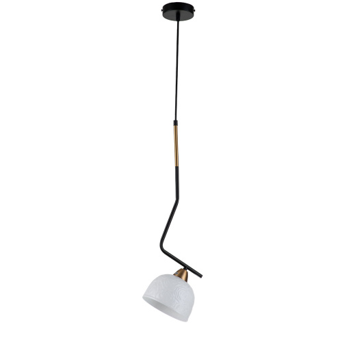 Подвесной светильник 10005/1P Black фото 2 Подвесной светильник 10005/1P Black фото 2