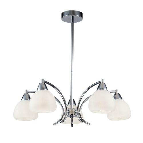 Подвесная люстра Freya Cindy FR5022PL-05CH Подвесная люстра Freya Cindy FR5022PL-05CH