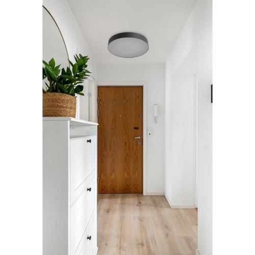 Настенно-потолочный светильник Sonex BASICA 7780/DLN фото 5