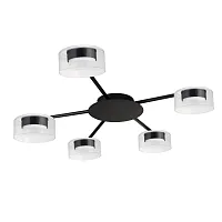 Потолочная люстра Arte Lamp ALIUS A8042PL-5BK