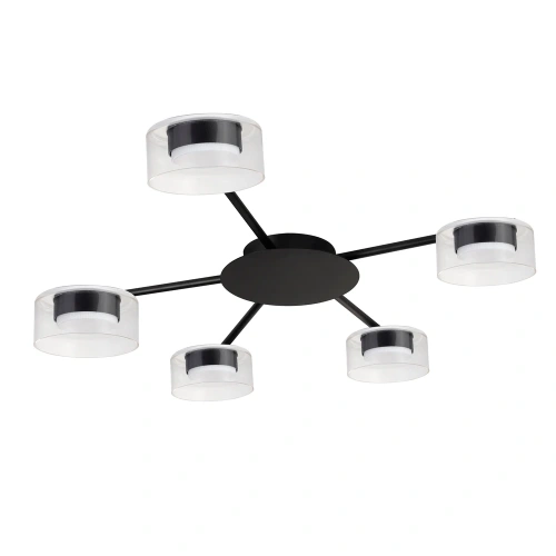 Потолочная люстра Arte Lamp ALIUS A8042PL-5BK Потолочная люстра Arte Lamp ALIUS A8042PL-5BK
