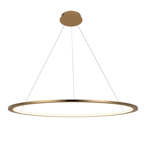 10014L Подвесной светильник LOFT IT Ring фото 2