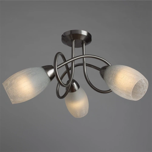 Потолочная люстра Arte Lamp MUTTI A8616PL-3SS фото 2 Потолочная люстра Arte Lamp MUTTI A8616PL-3SS фото 2