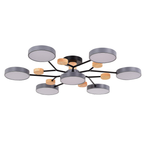 SLE6006-702-07 Светильник потолочный Серый/Серый LED 7*12W 3000K/4500K/6000K FAEMA фото 6