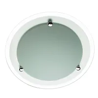 Потолочный светильник Arte Lamp GISELLE A4831PL-2CC