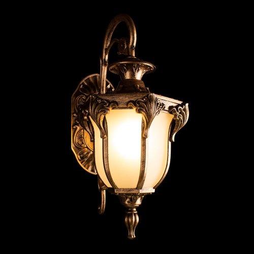 100017W Уличный настенный светильник LOFT IT Alessano фото 2 100017W Уличный настенный светильник LOFT IT Alessano фото 2